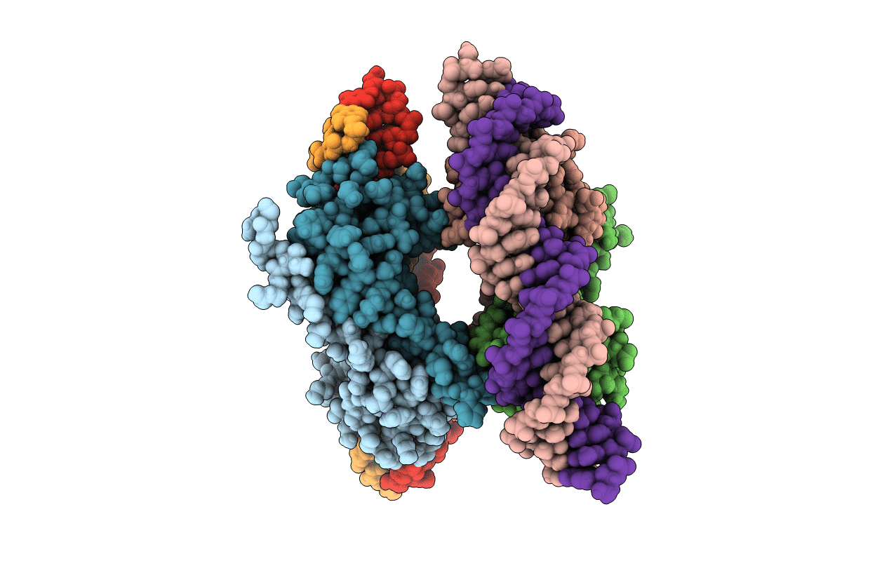 4IHT image