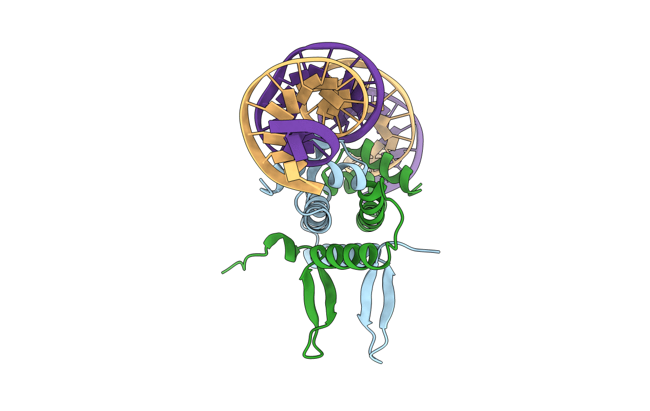 4IHV image