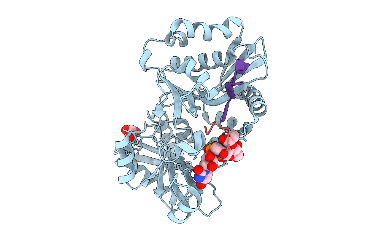 4II9 image