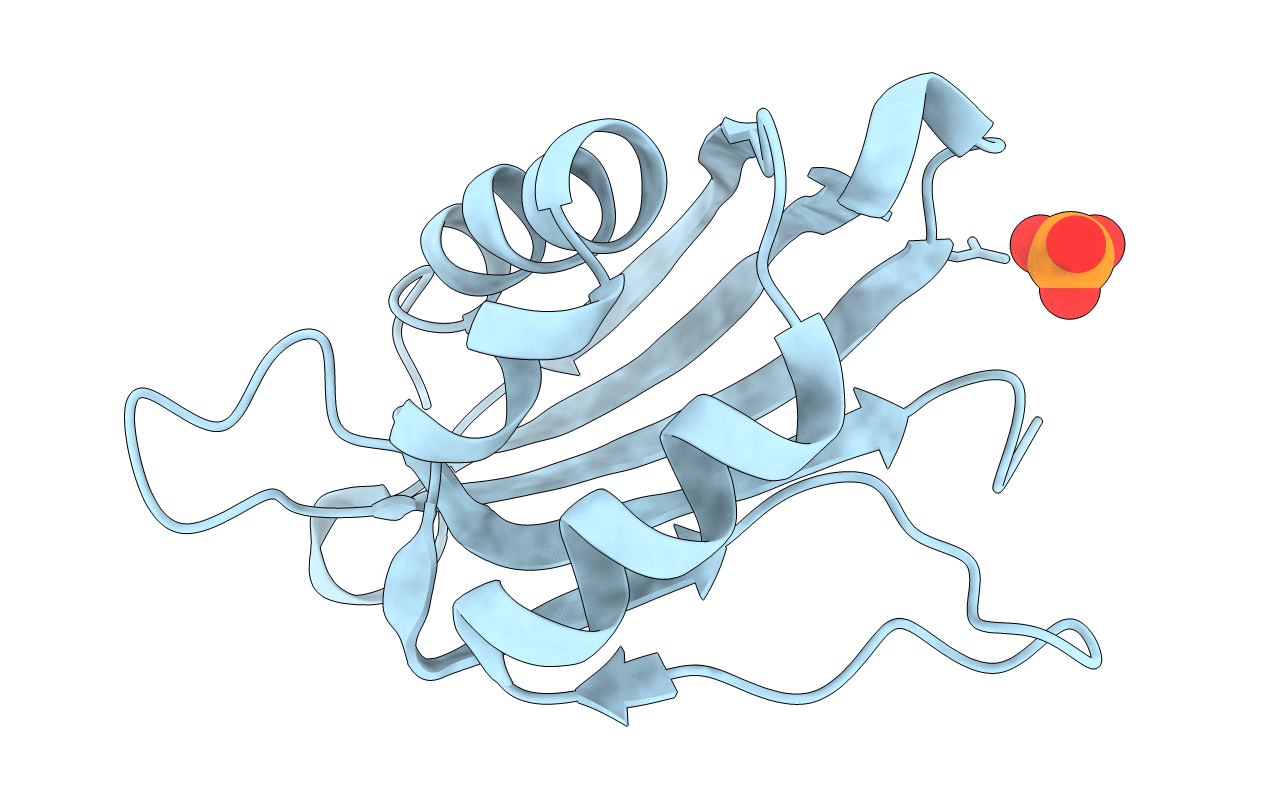 4IIA image