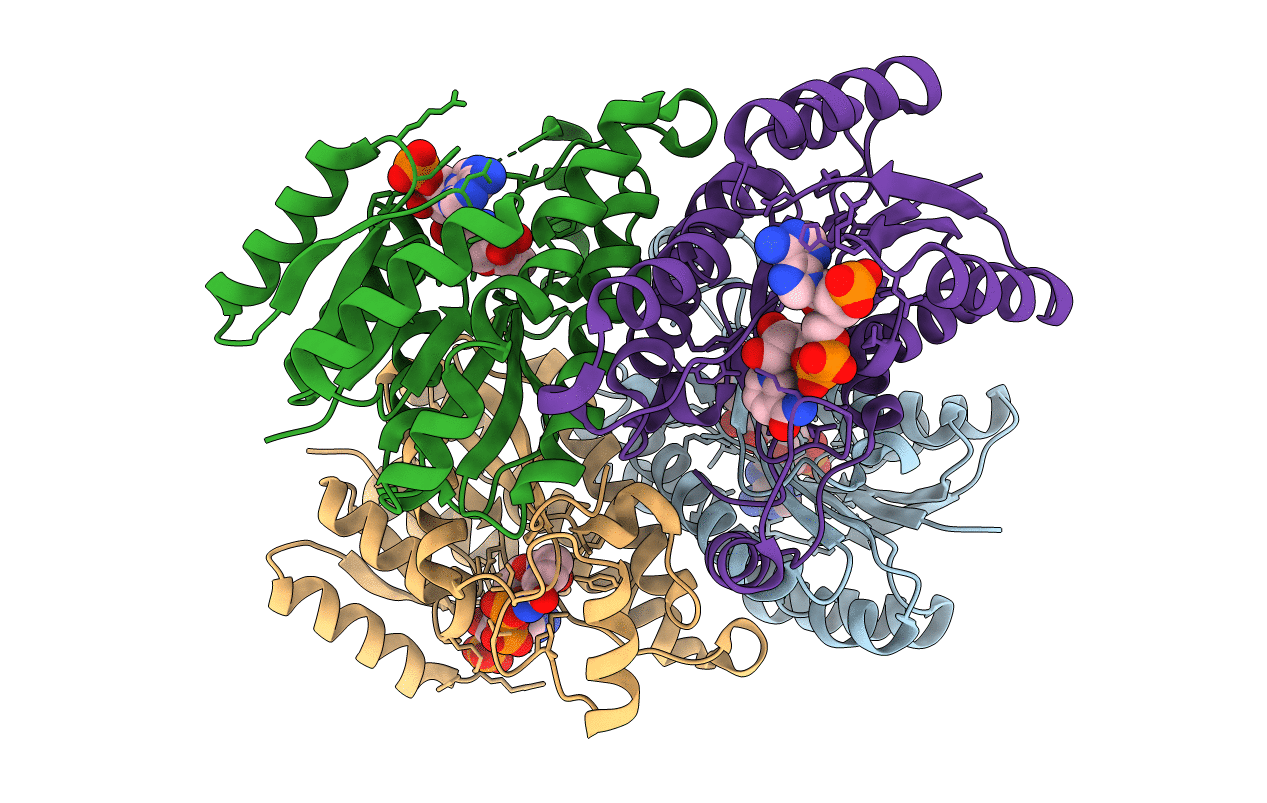 4IIV image
