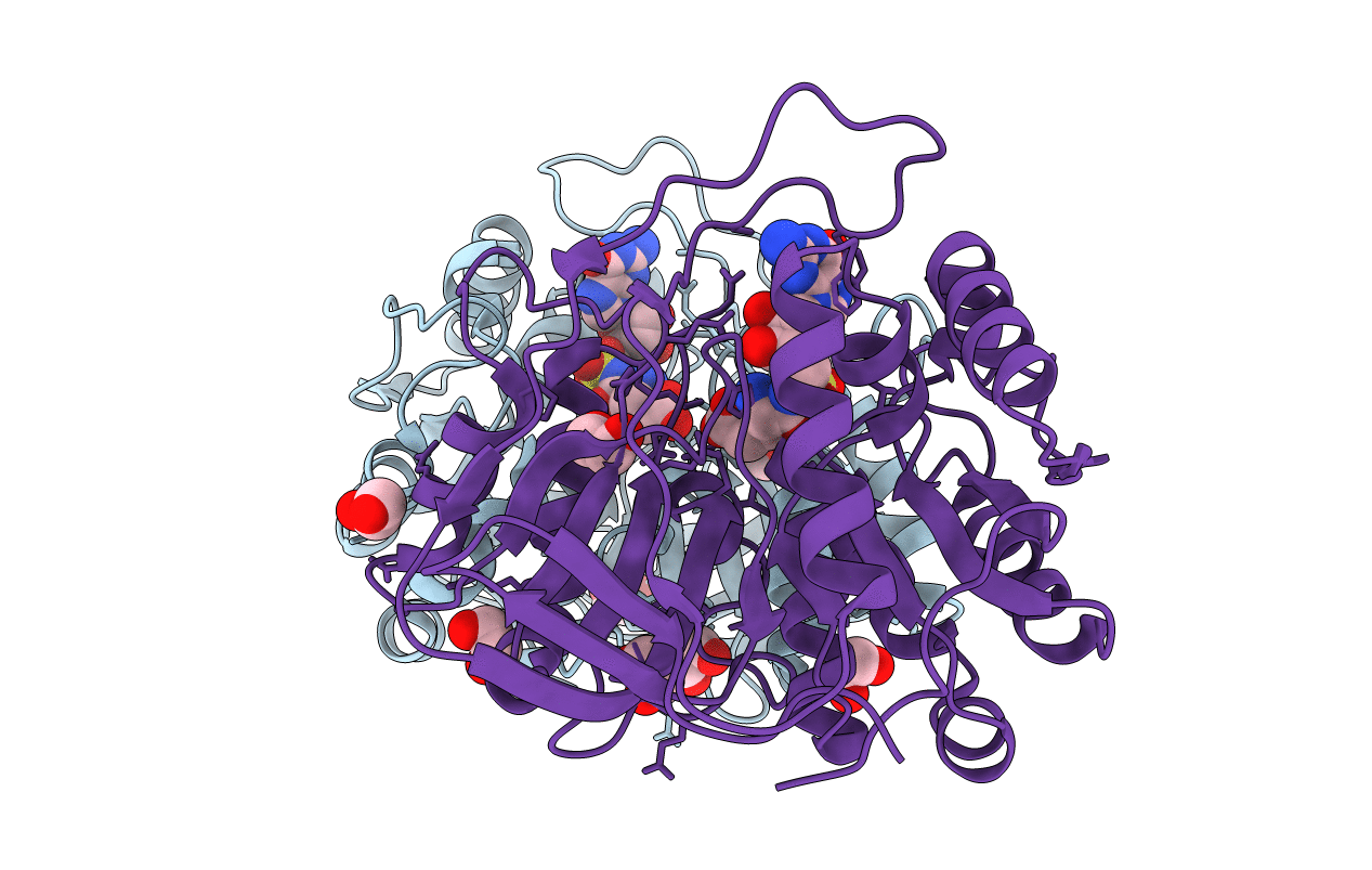 4IIX image