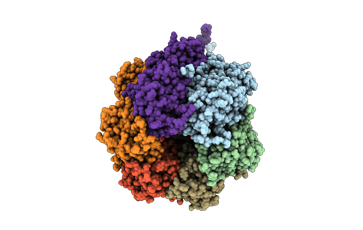 4IJM image