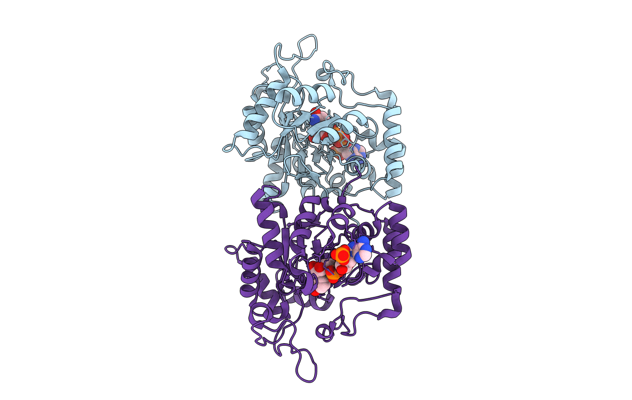 4IJR image