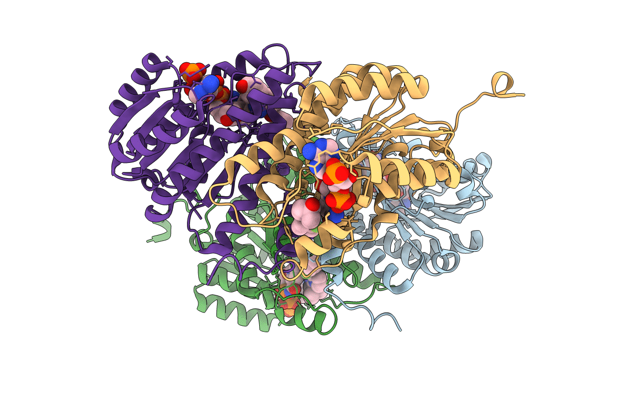 4IJU image
