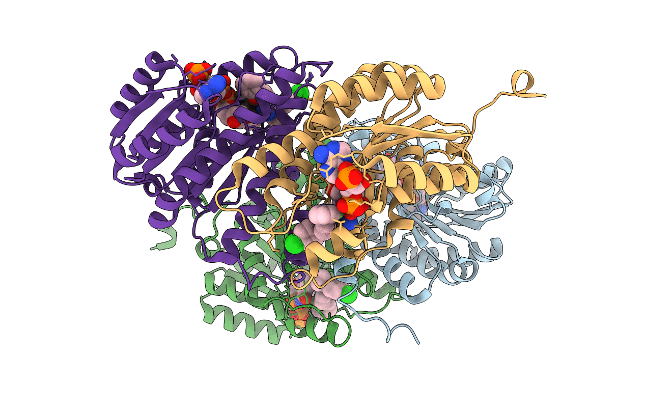 4IJV image