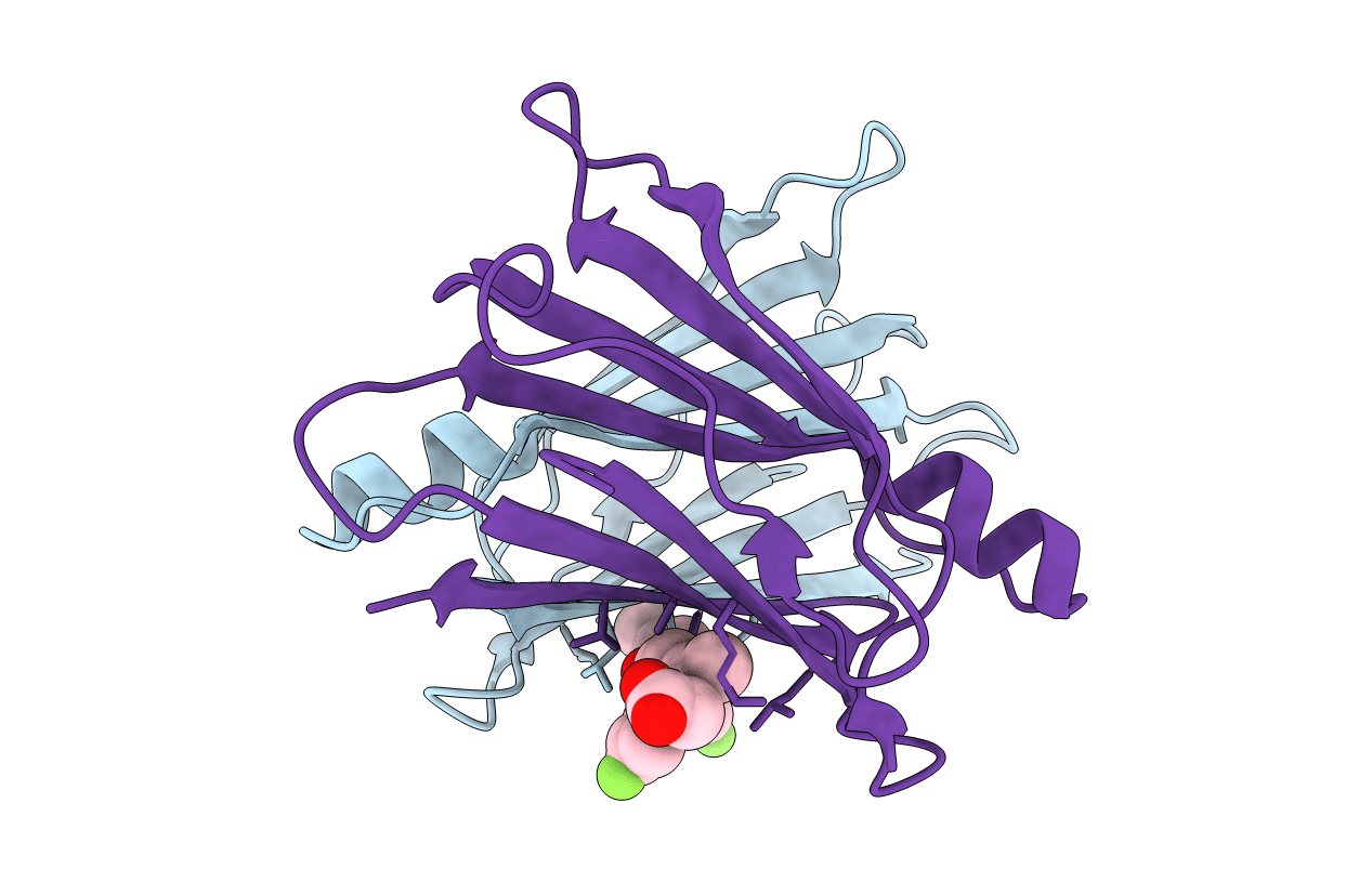 4IKL image