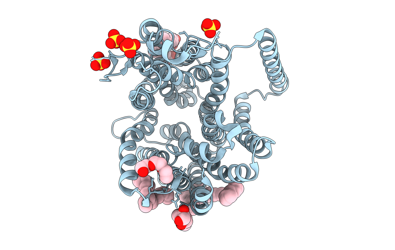 4IKV image