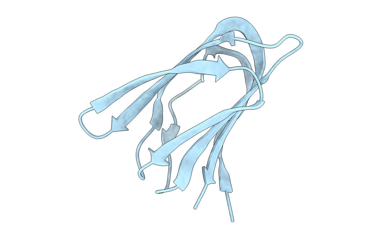 4IL7 image