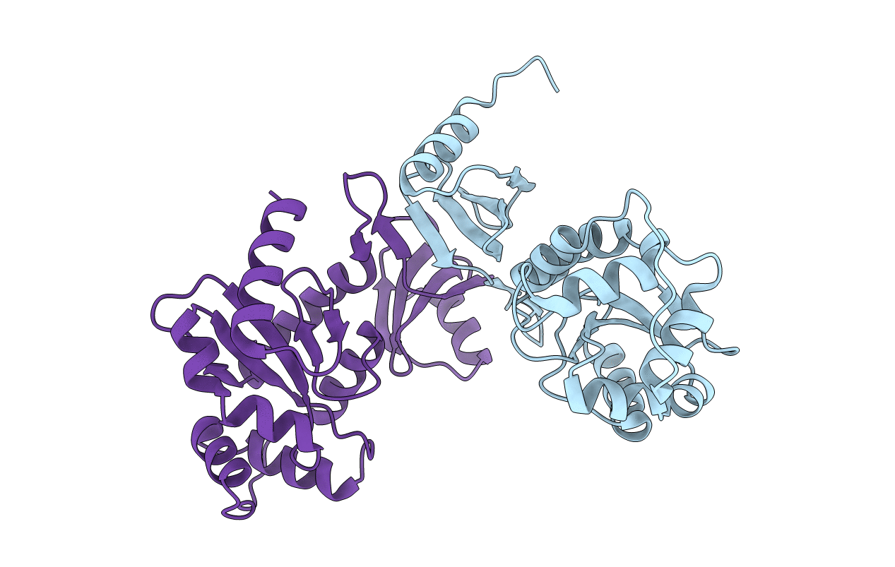 4ILF image