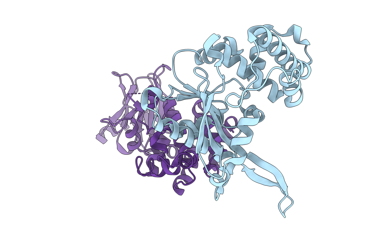 4ILH image