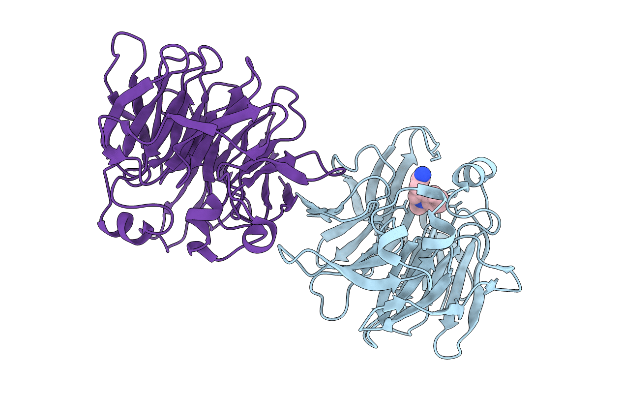 4IMB image