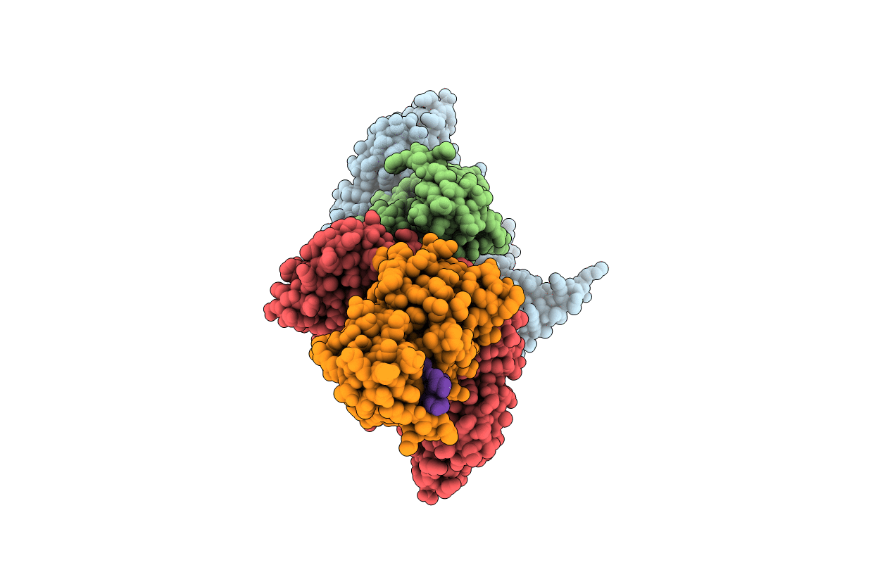 4IMI image