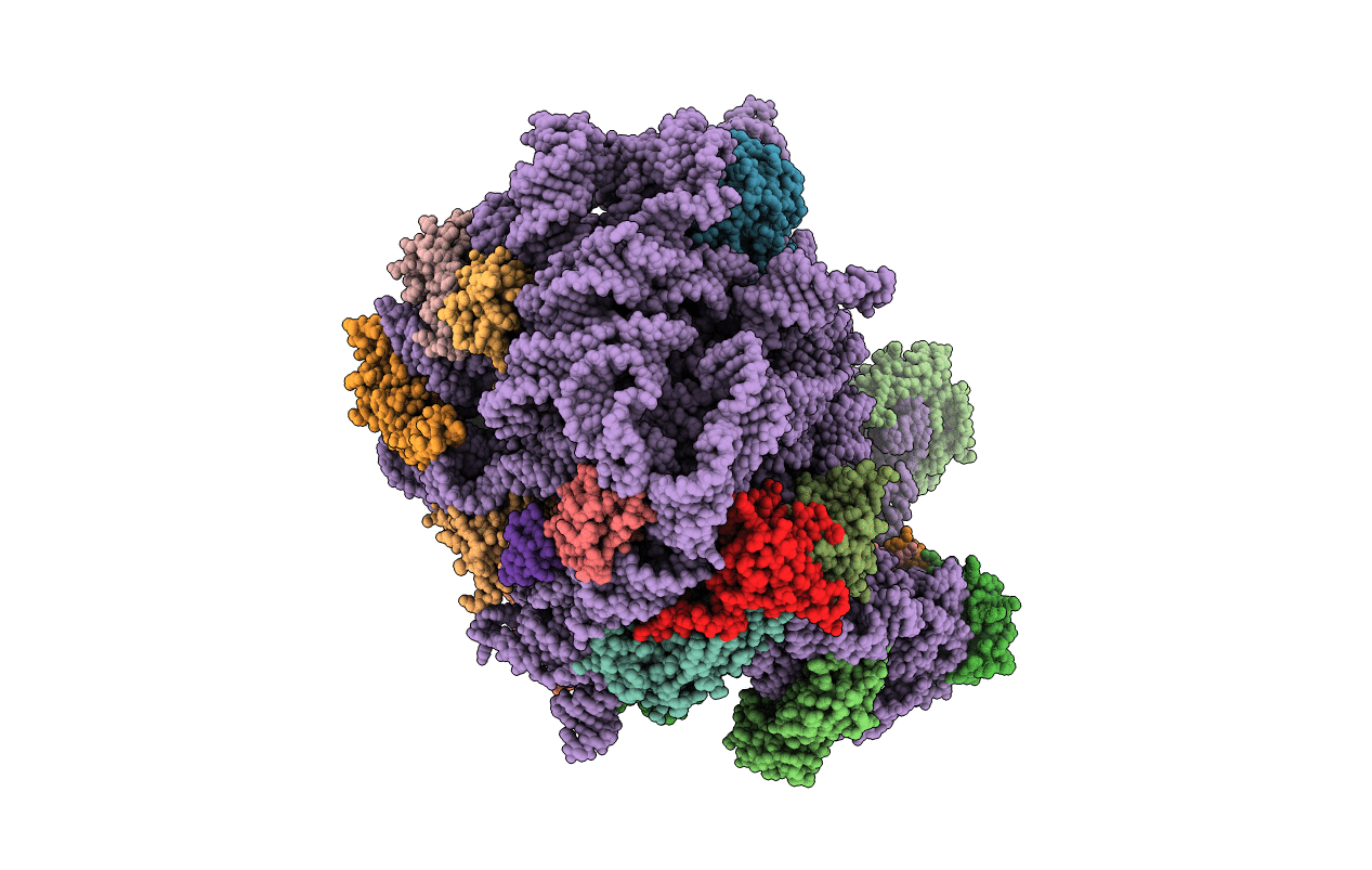 4IOA image