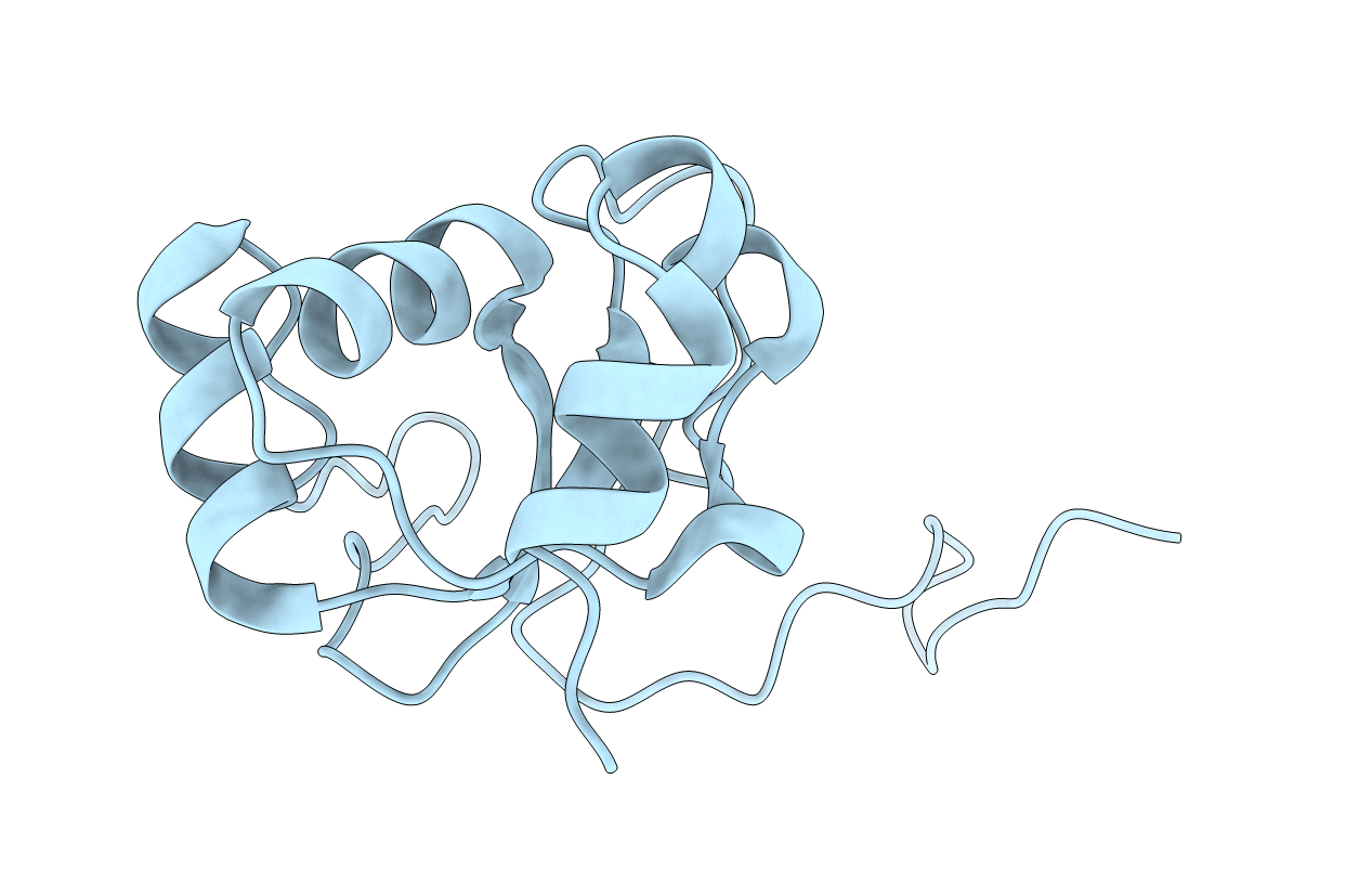 4IOH image