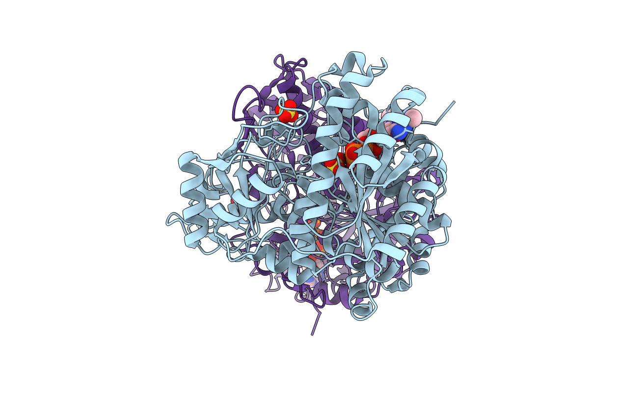4IOL image