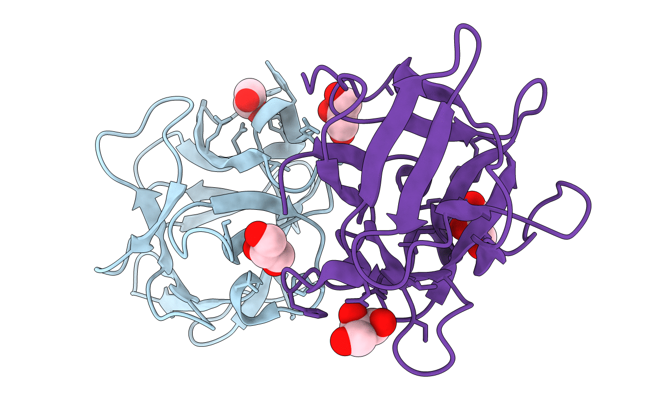 4ION image