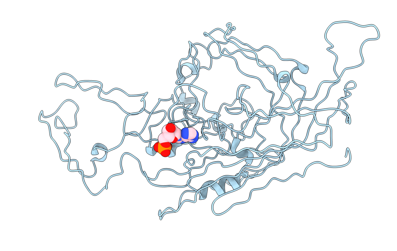 4IOV image