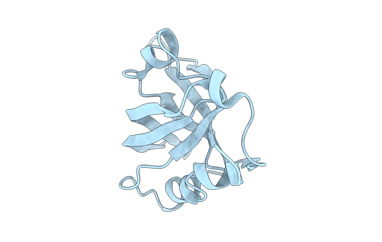 4IPC image