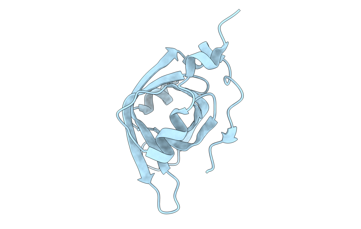 4IPD image