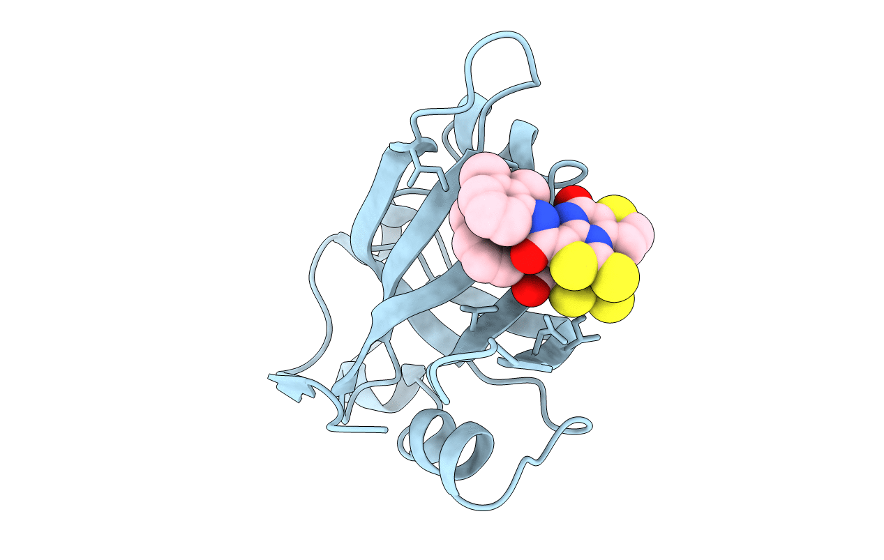 4IPH image