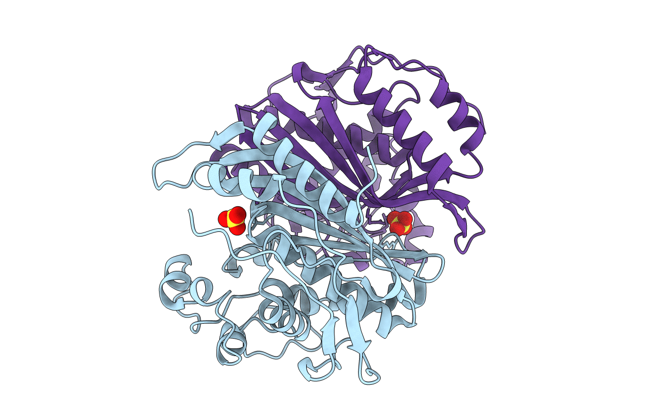 4IQB image