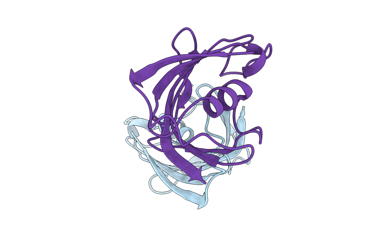 4IQC image
