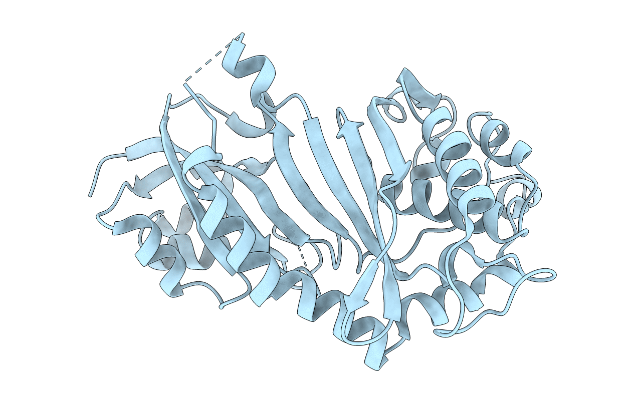 4IQM image