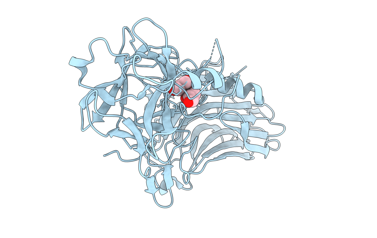 4IQP image