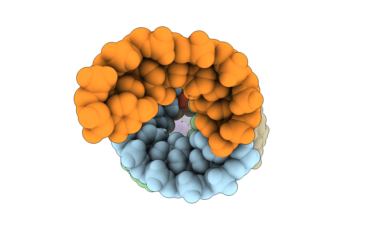 4IQS image