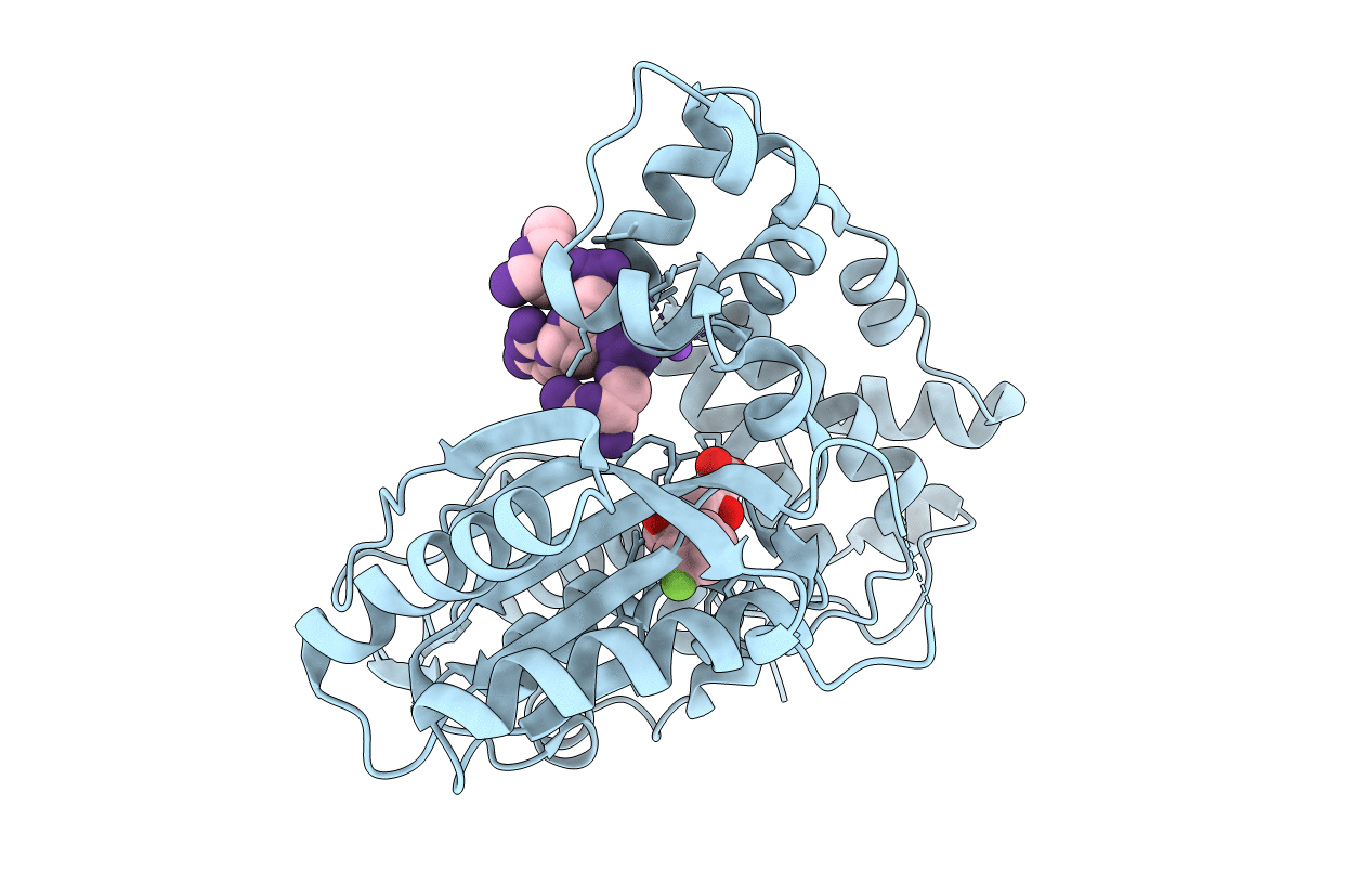 4IQV image