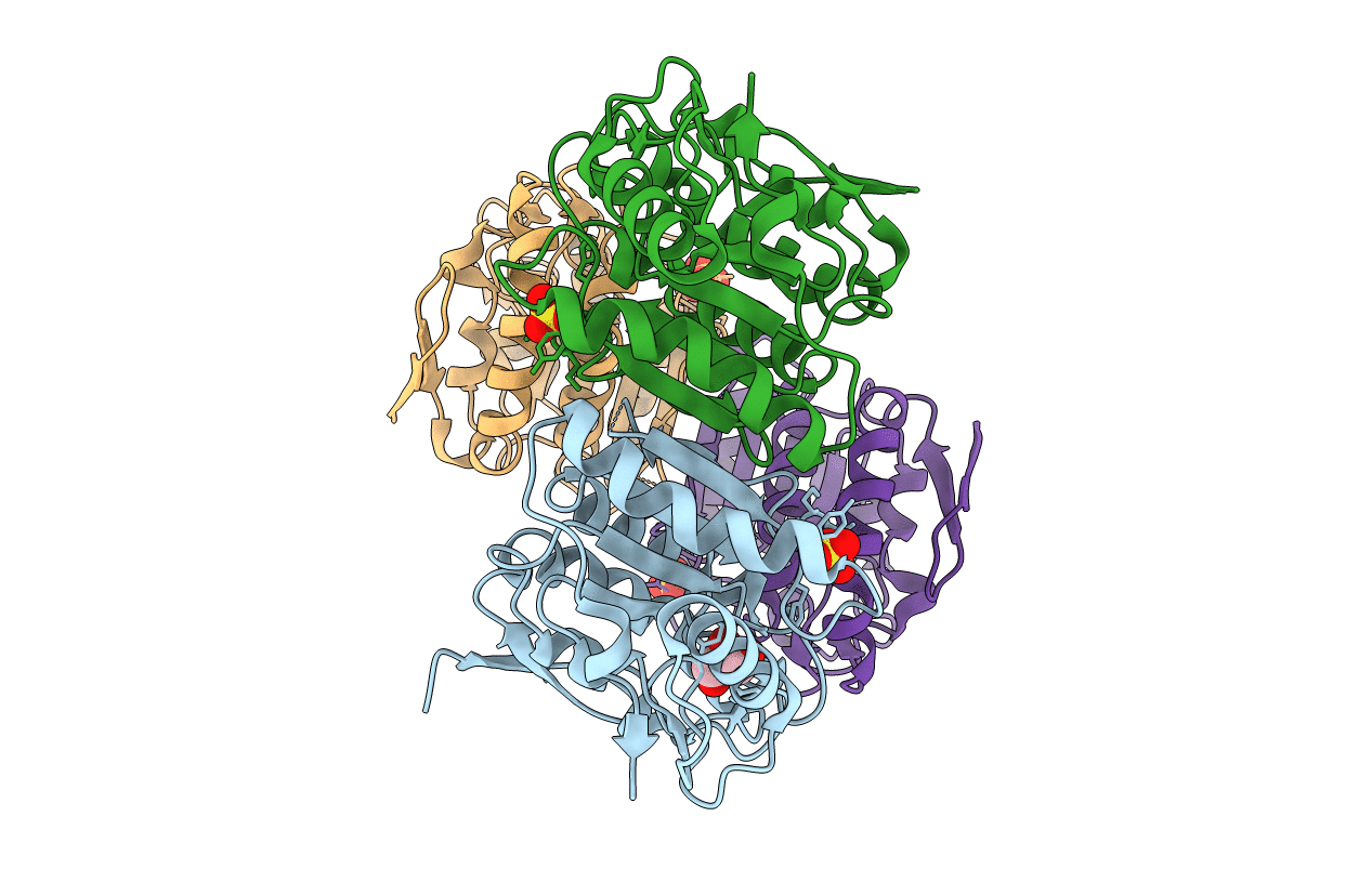 4IRB image