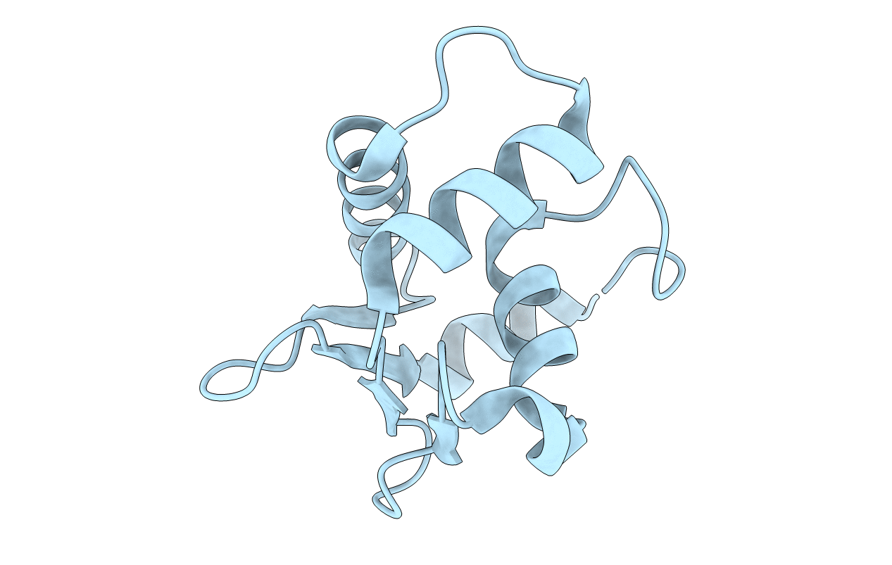 4IRG image