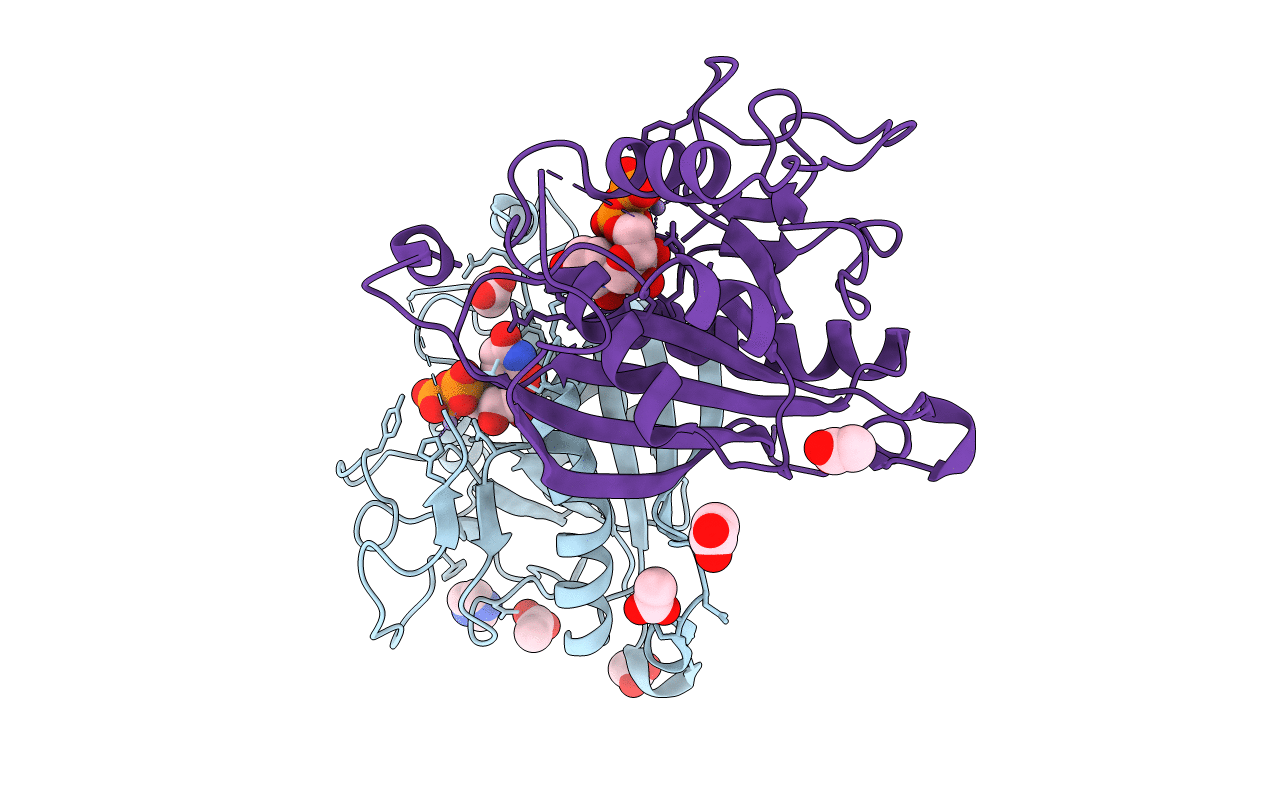 4IRP image