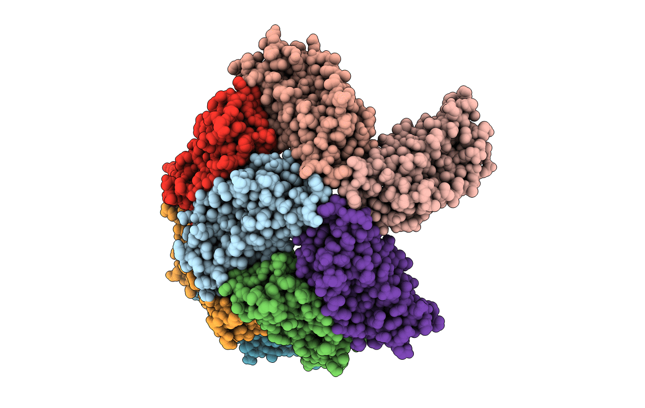 4ISP image