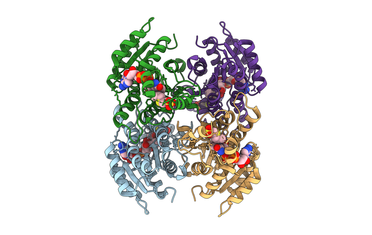 4ITU image