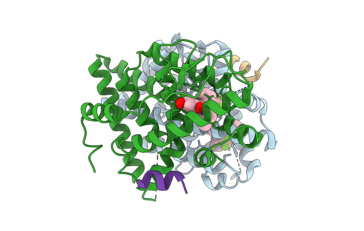 4IV4 image