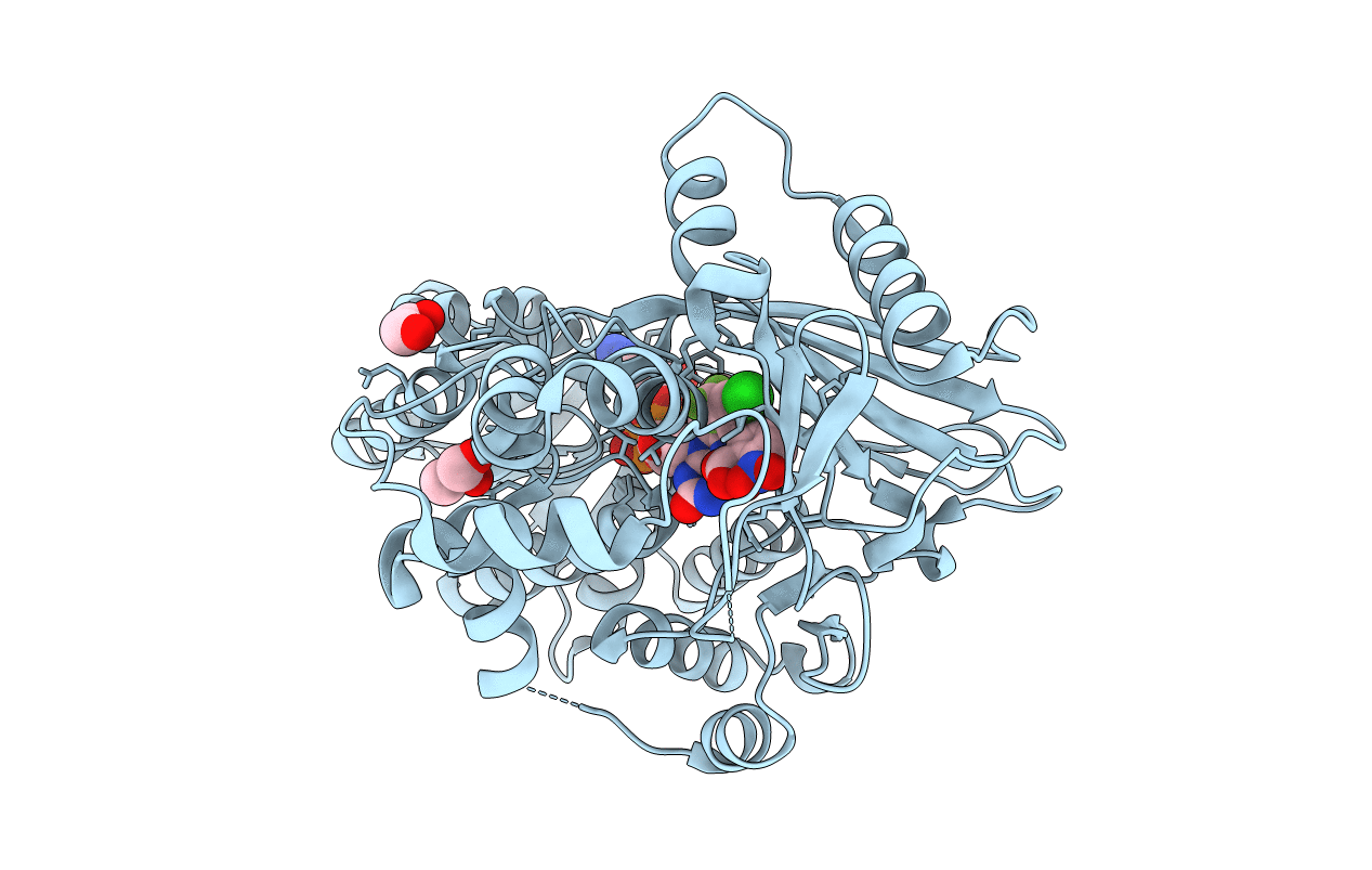 4IVM image