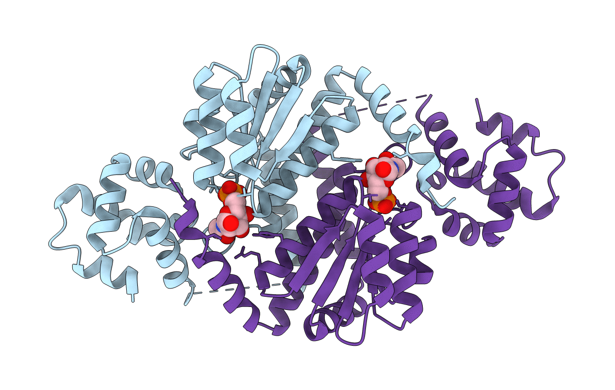 4IVN image