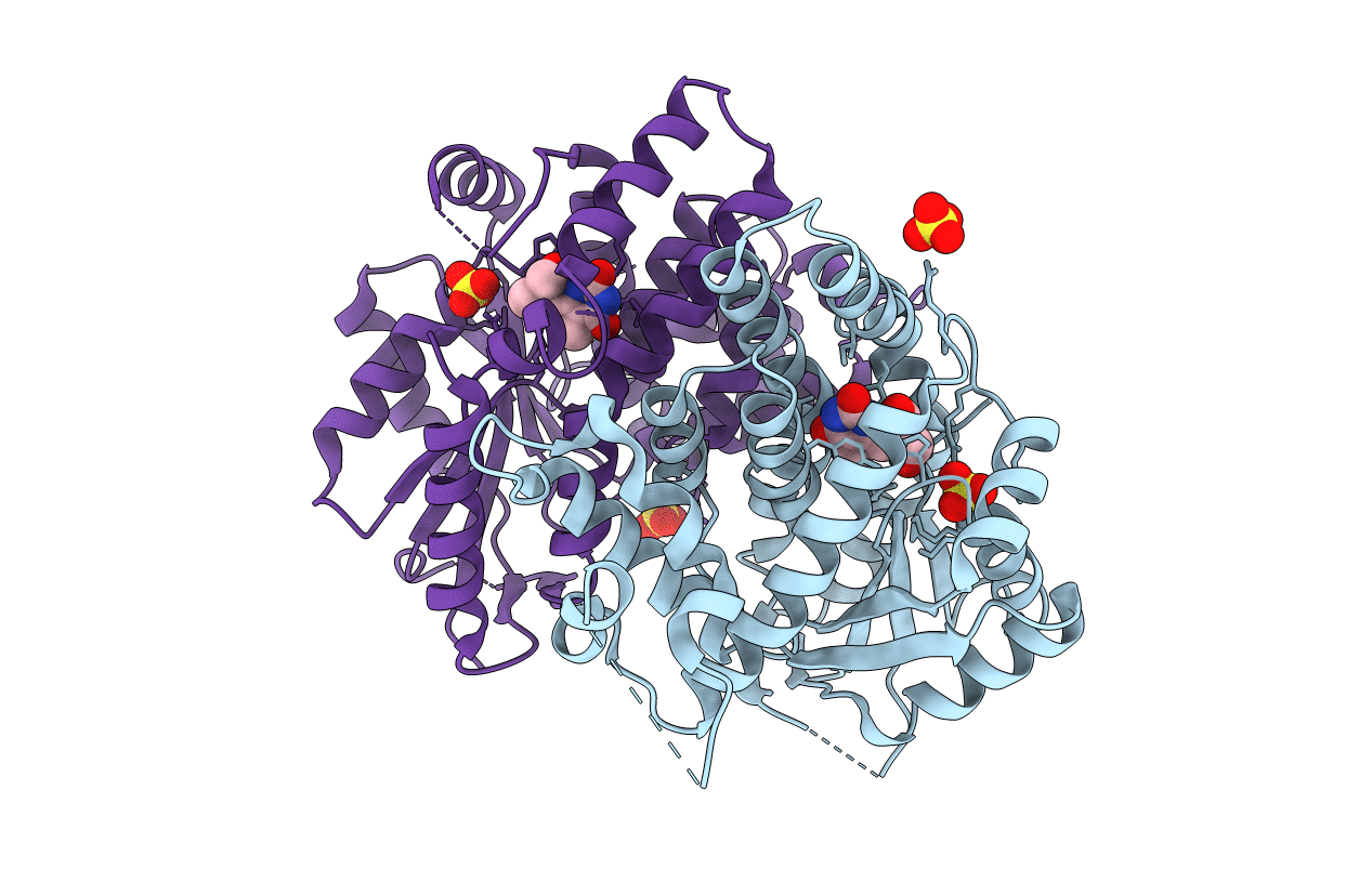 4IVP image