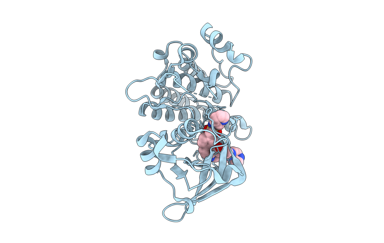 4IWD image