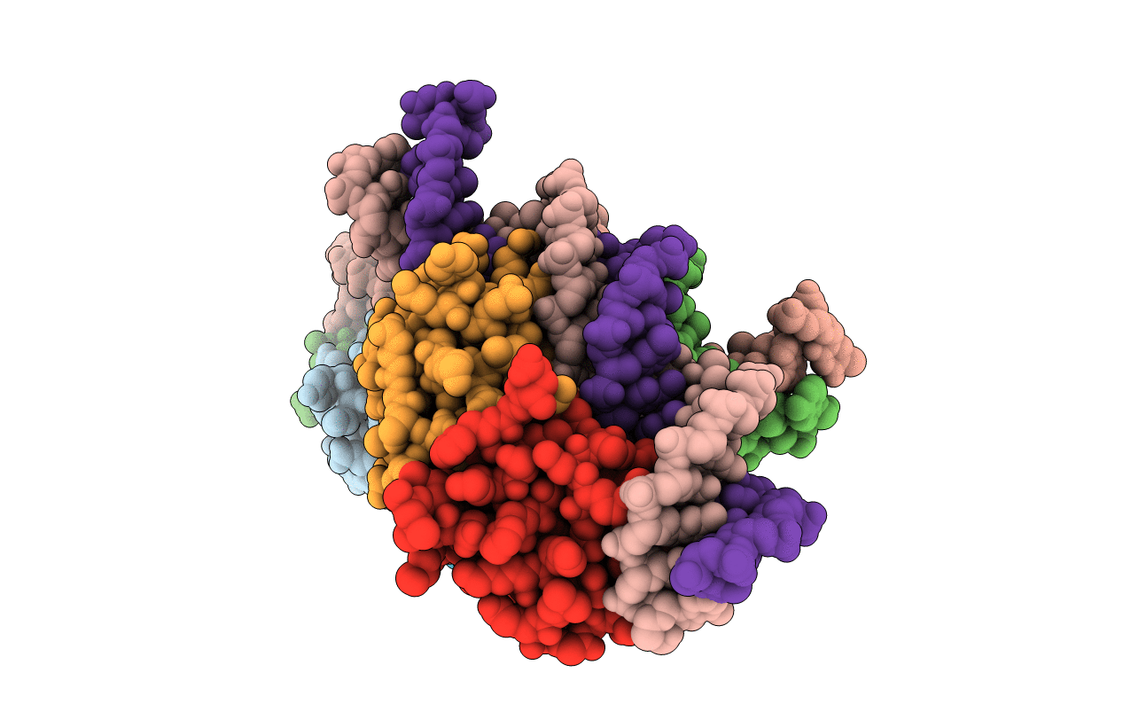 4IWR image