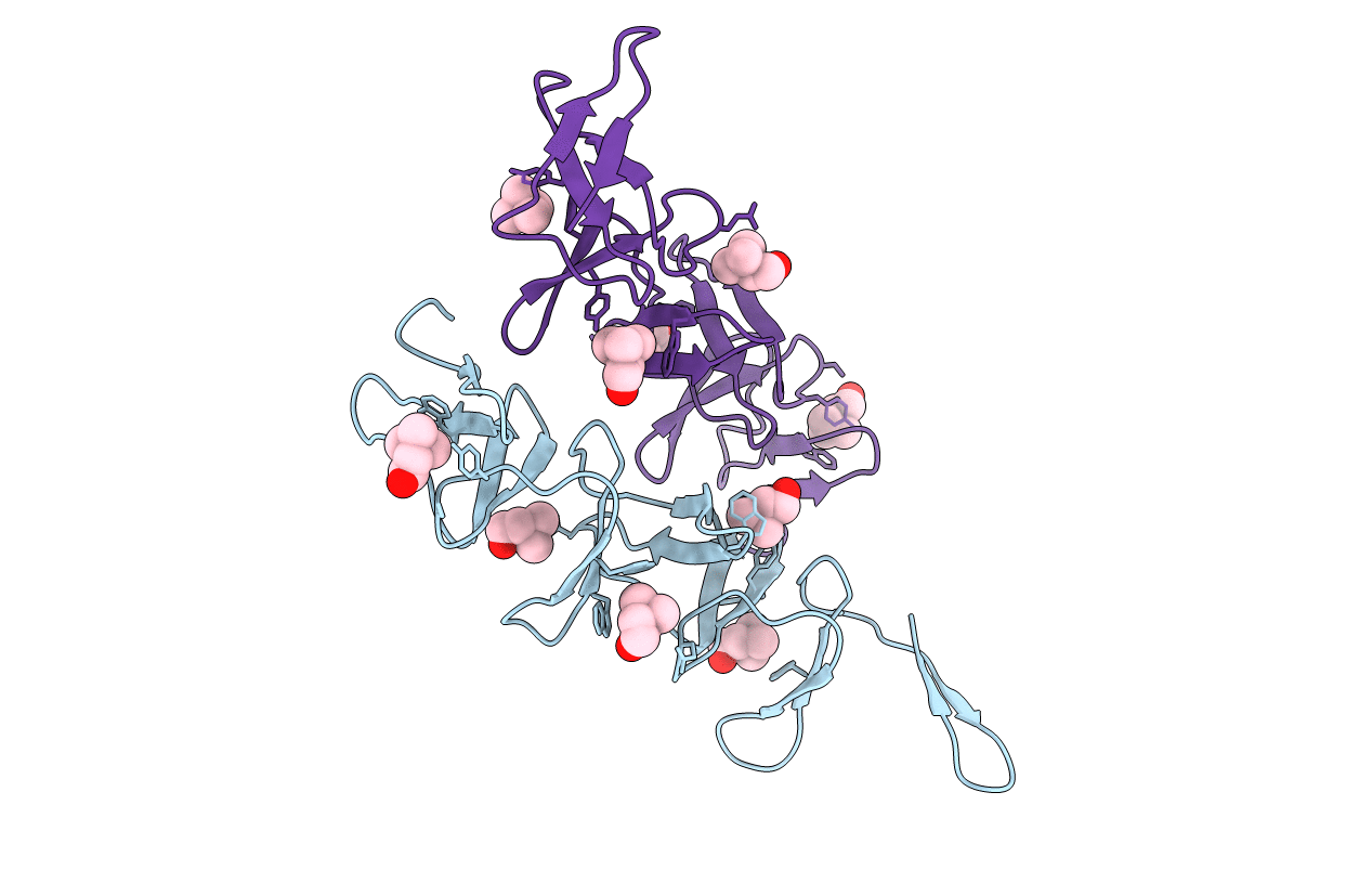 4IWT image