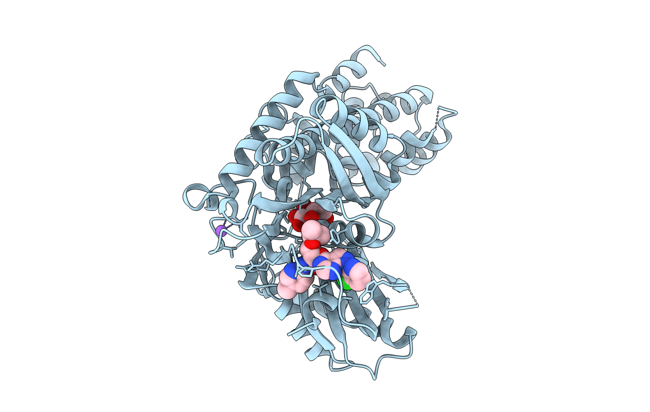 4IXC image