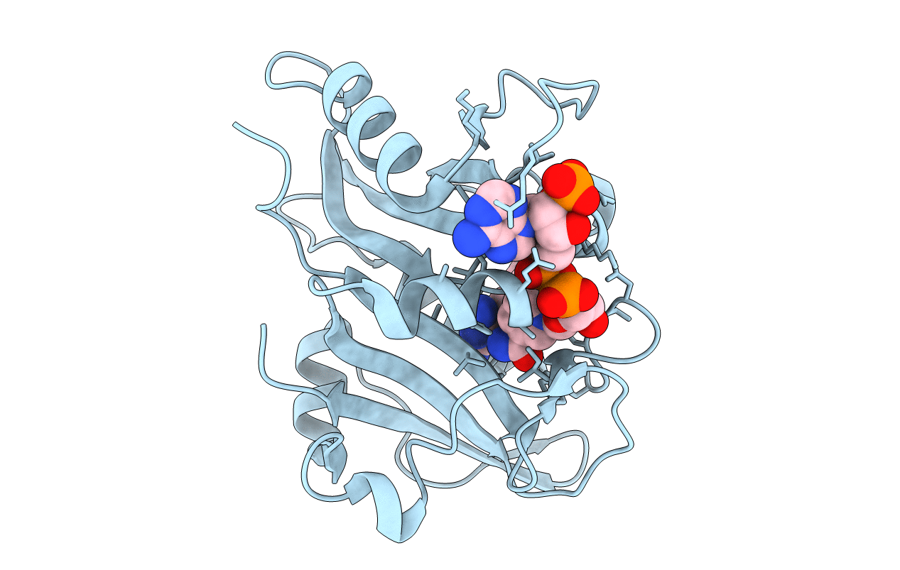 4ixf image