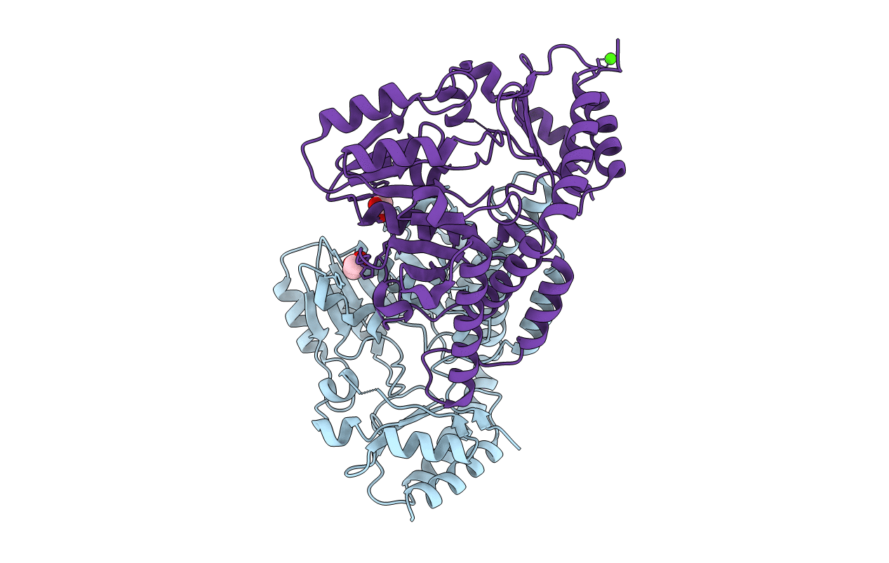4IXO image