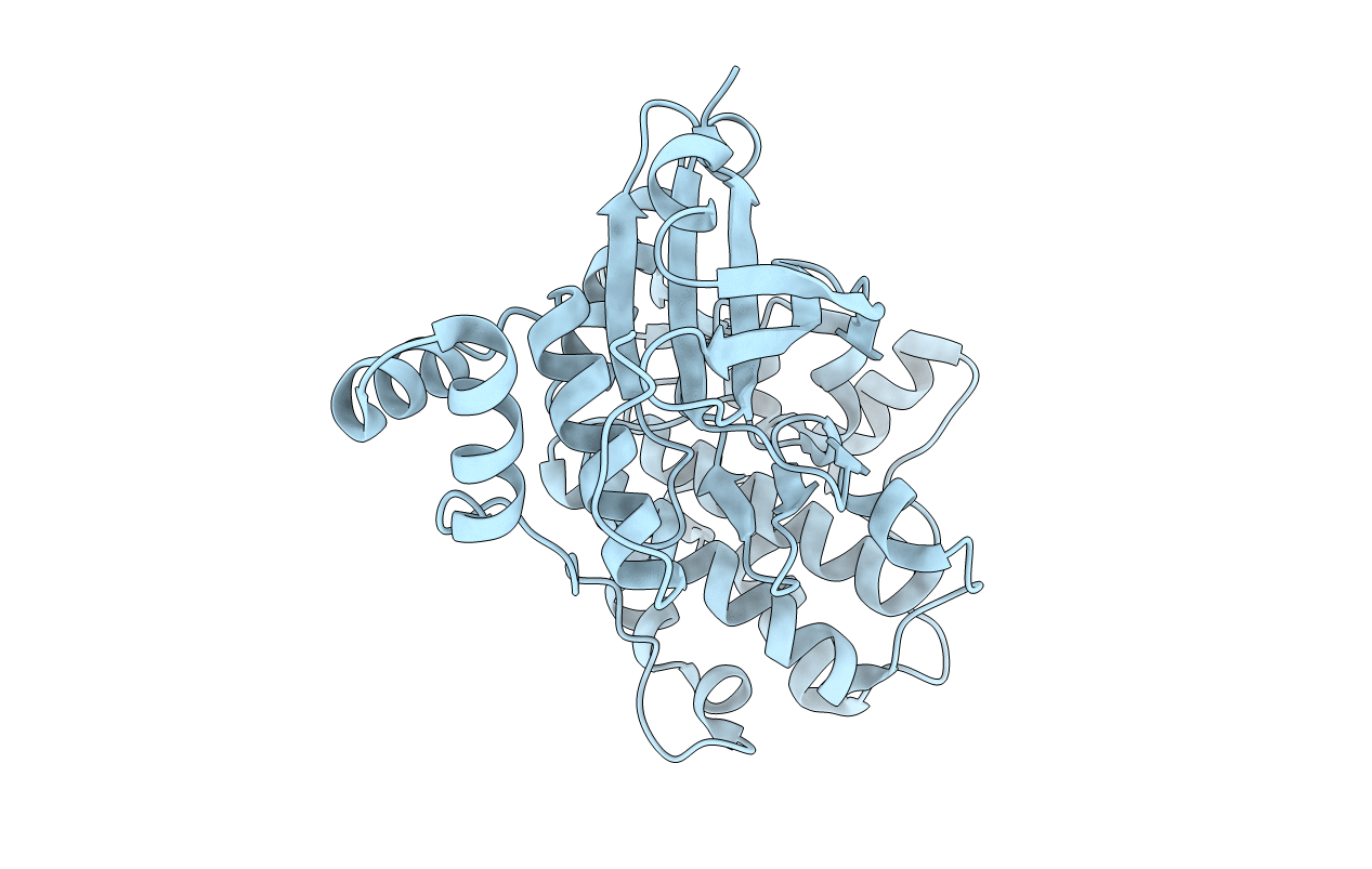 4IXP image