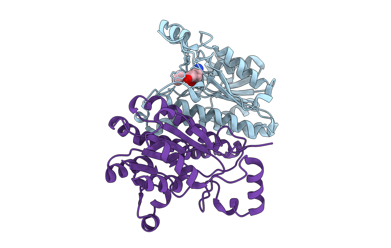 4IXT image