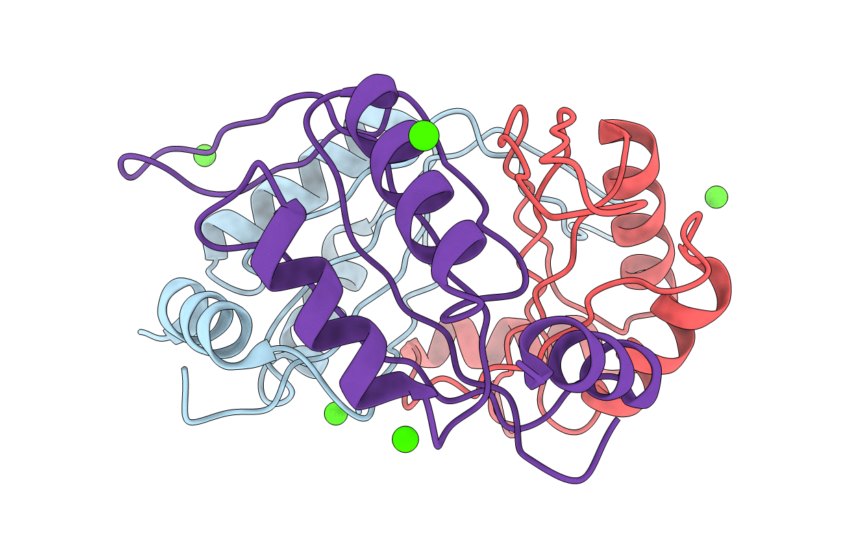 4IYQ image