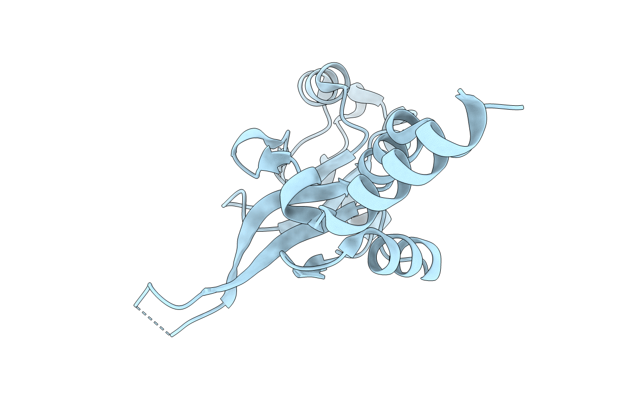 4IYS image